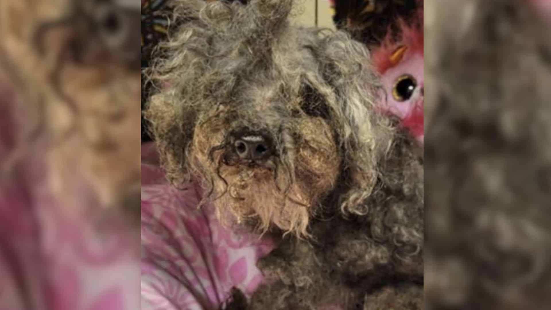 When Adrian Lott and Spencer Erickson fr...