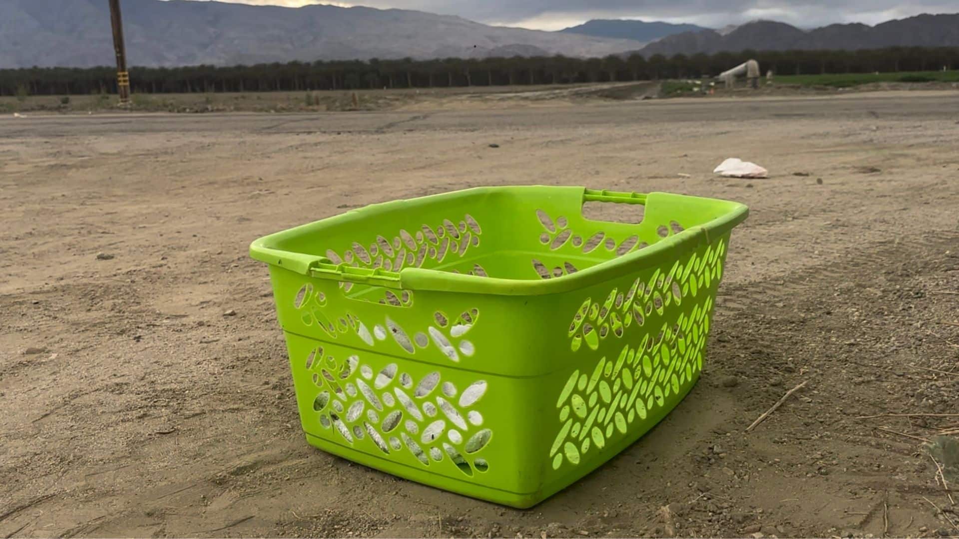 These little siblings were left sorrowfu...