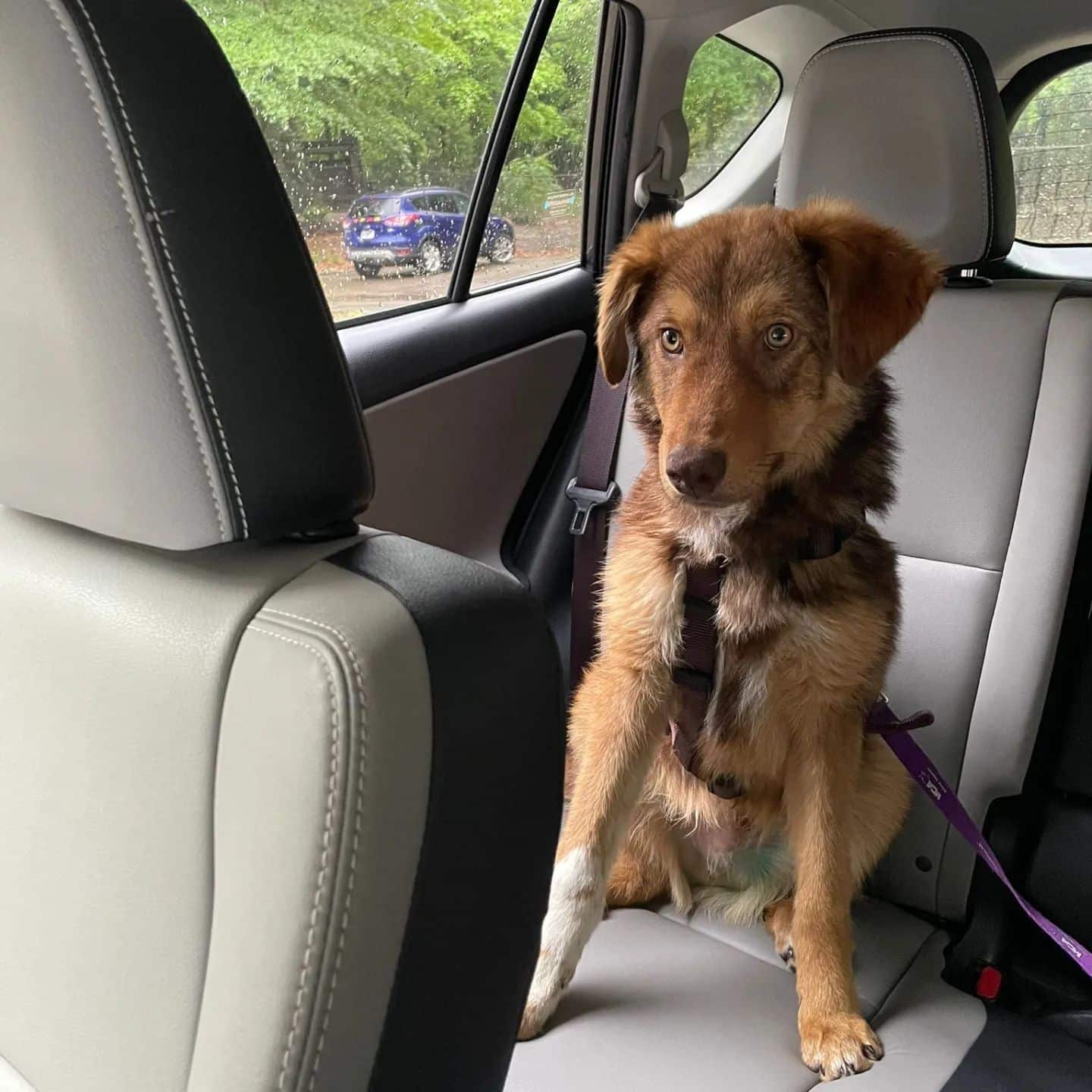 Extra image from article