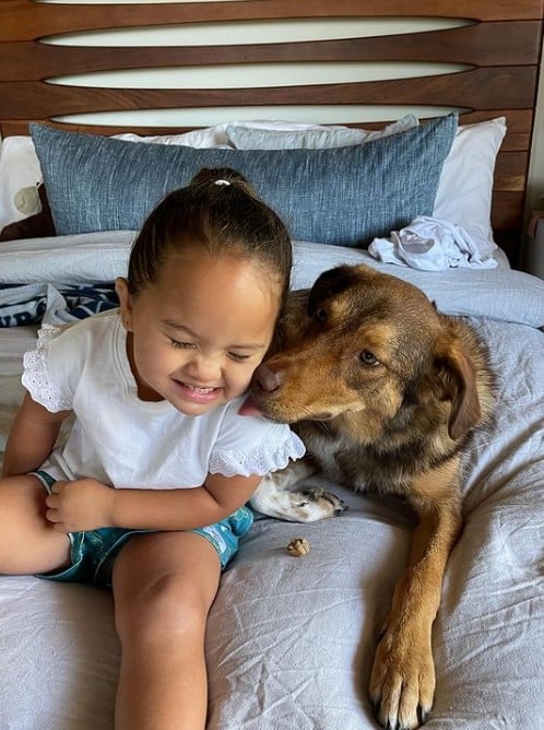 Extra image from article