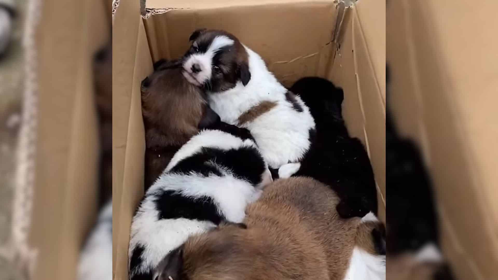 While exploring a town, some curious tou...