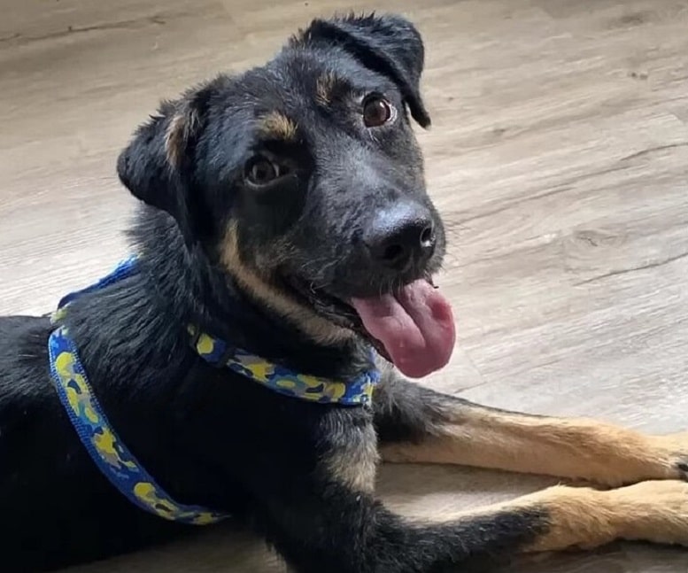 Extra image from article