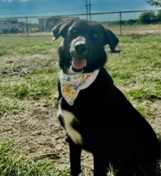 Extra image from article