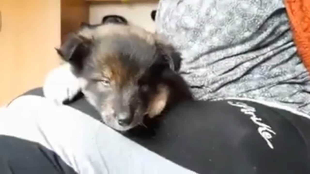 Extra image from article