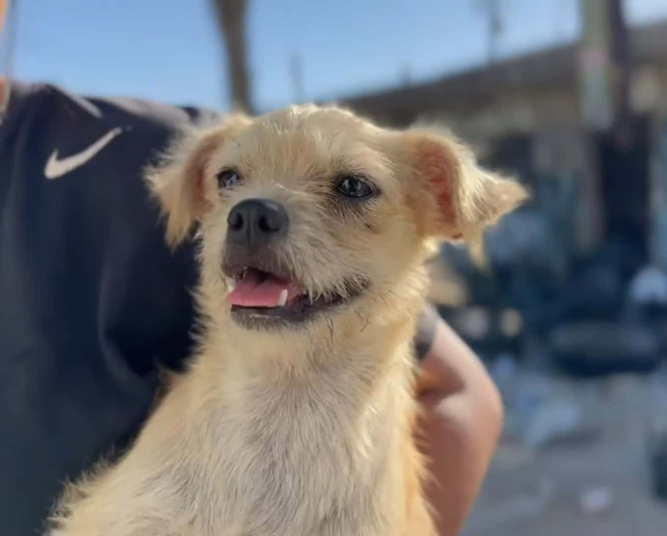 Extra image from article