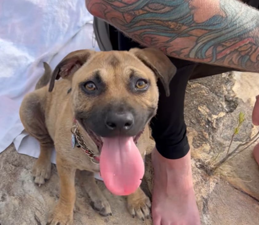 Extra image from article