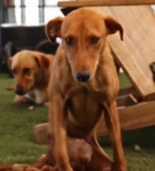 However, this joyful chapter took a turn...