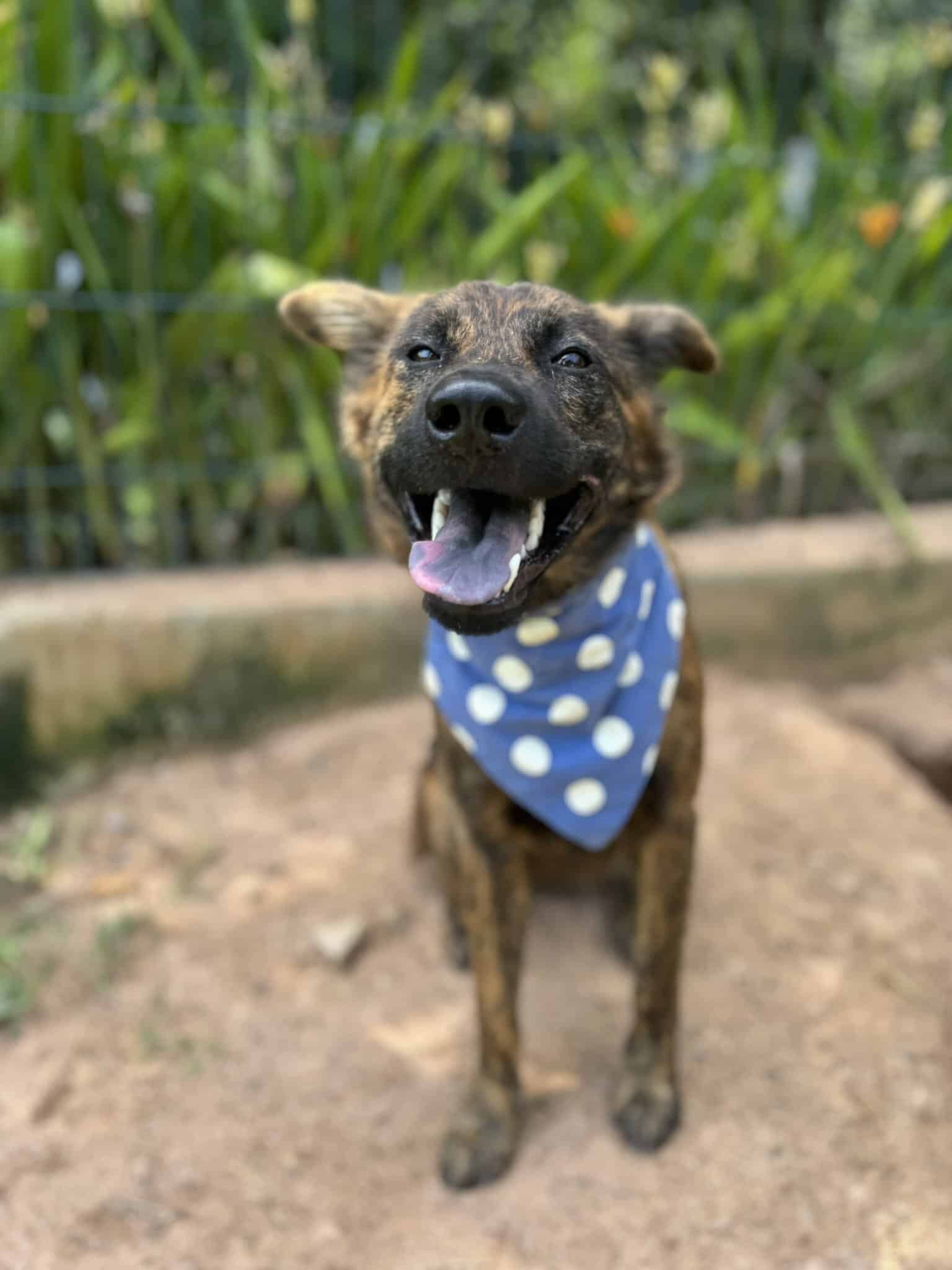 Extra image from article