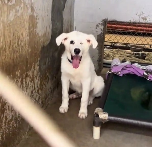 Extra image from article