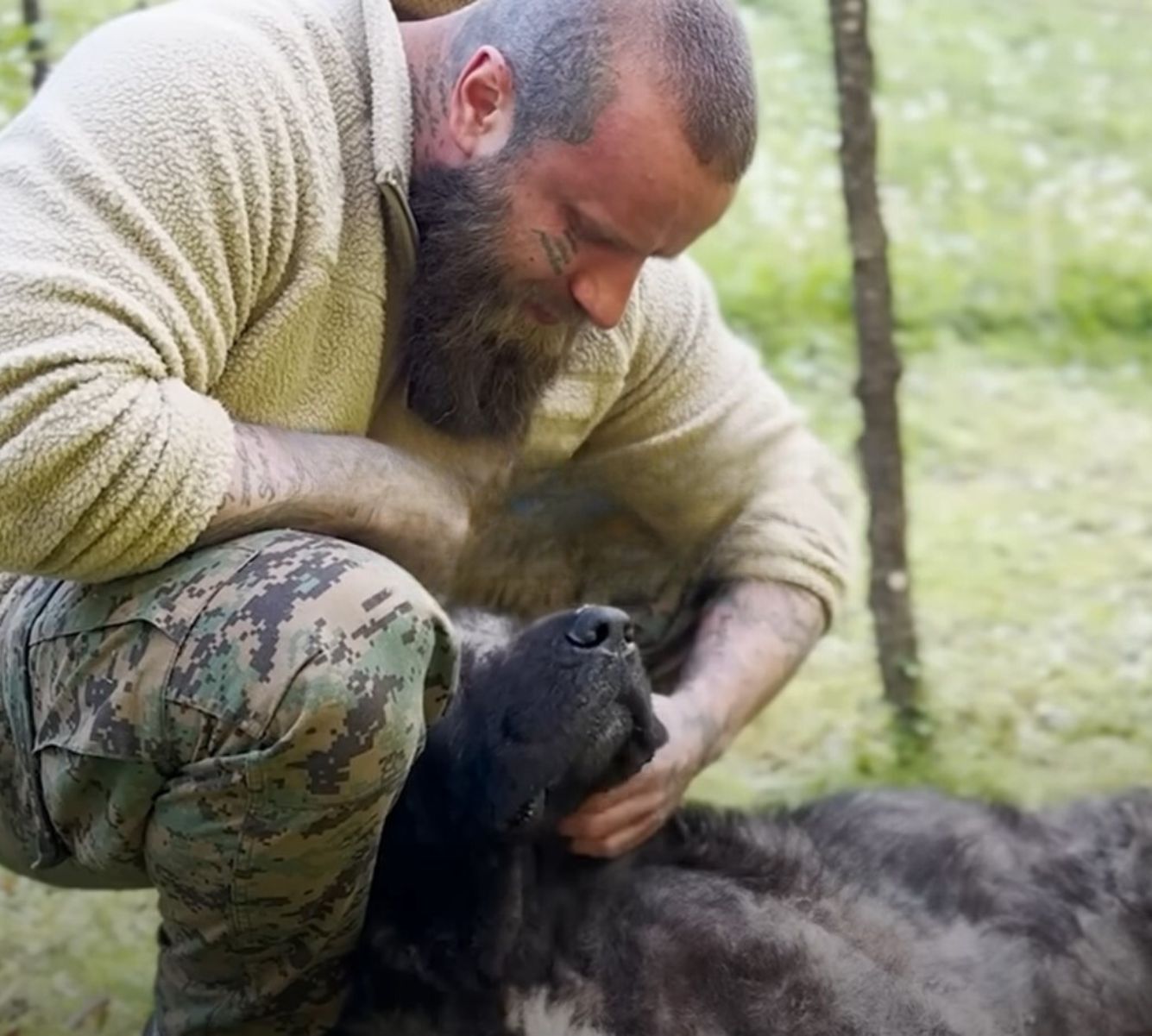 Extra image from article