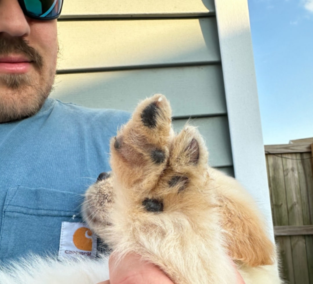 Extra image from article