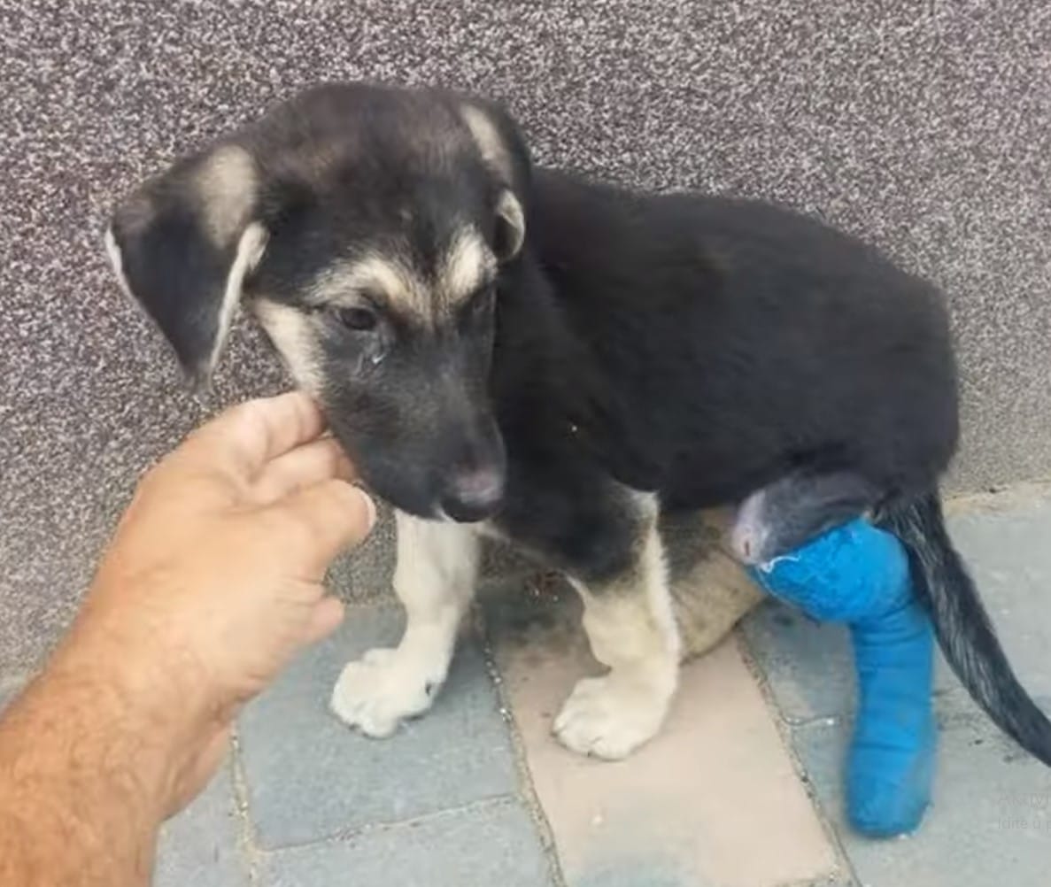 Extra image from article