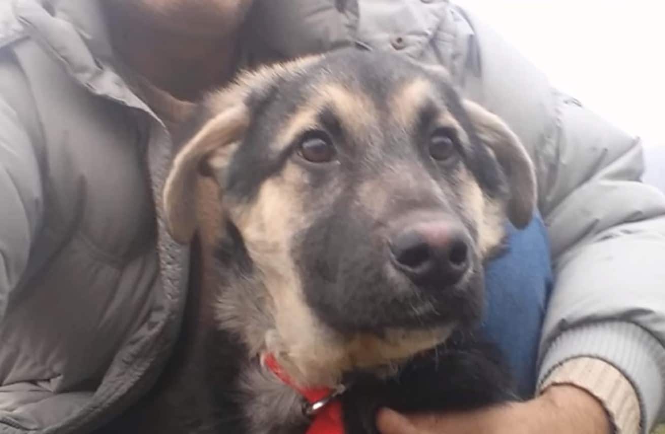 Extra image from article