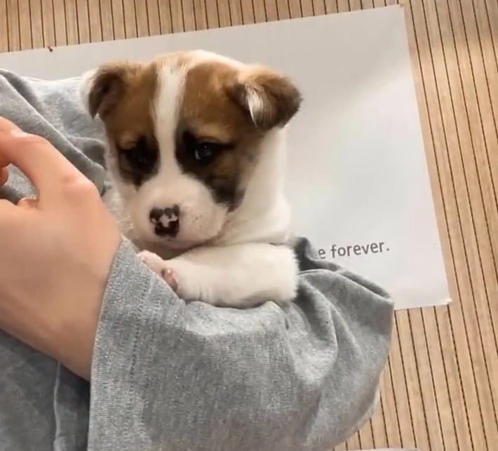 Extra image from article