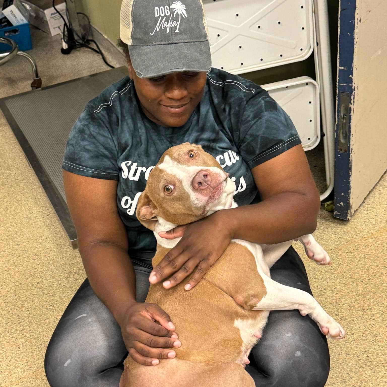 Extra image from article