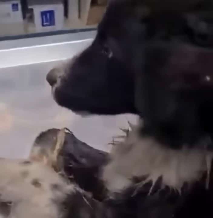 Finally, after enduring so much hardship...