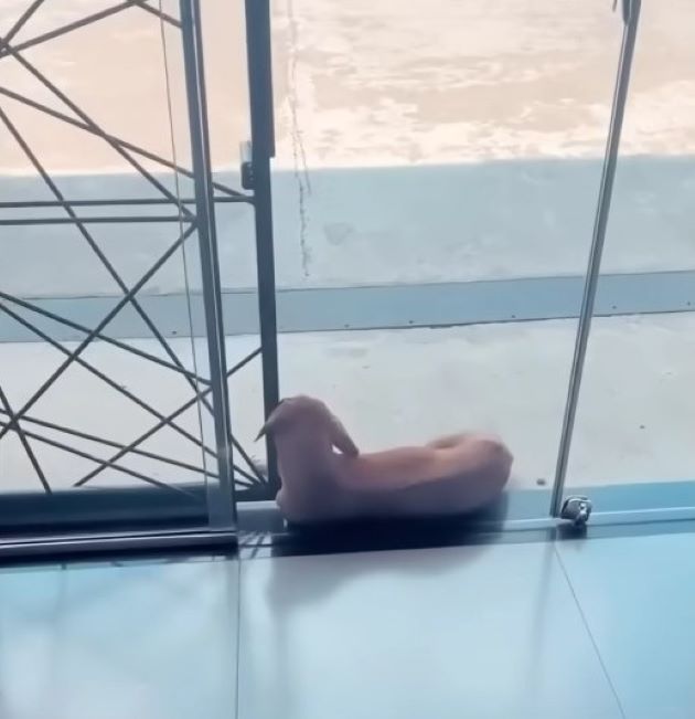 Enjoying a newfound sense of well-being,...