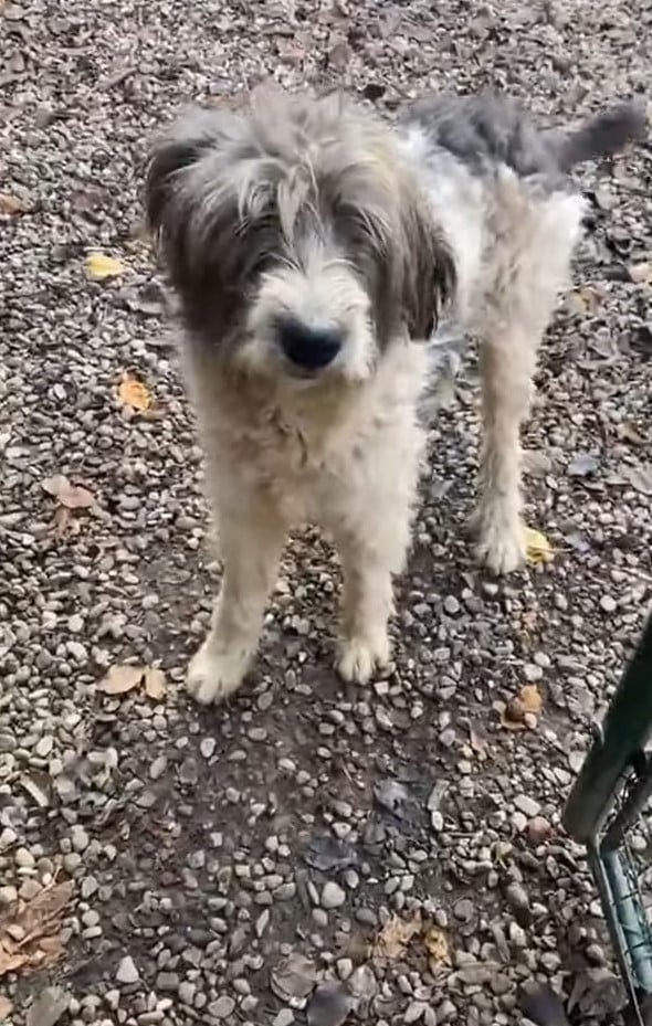 Extra image from article