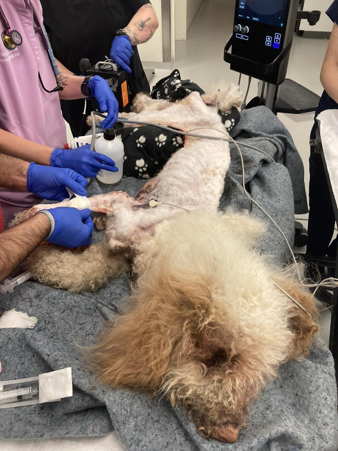 Scout's story is a powerful reminder of ...