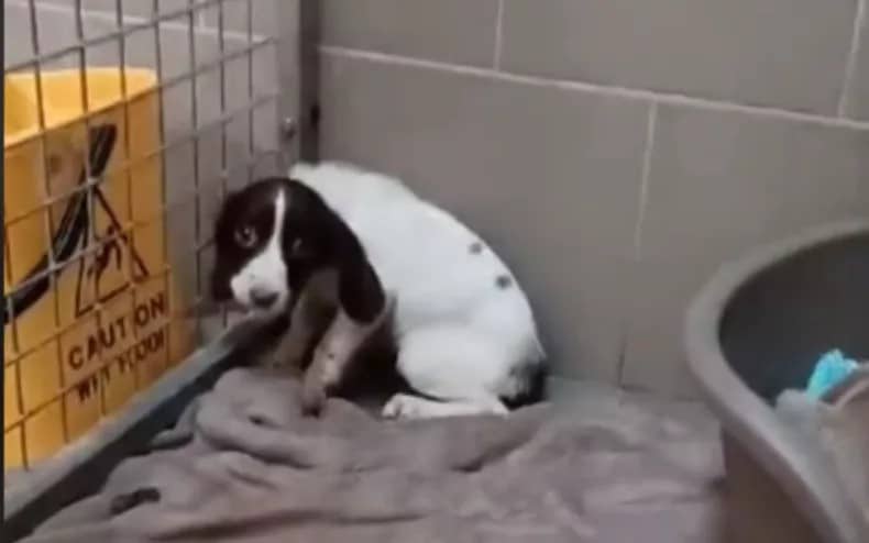 “With lots of love and slow interactions...