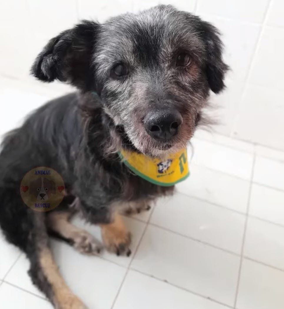 Extra image from article