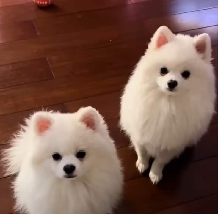 Extra image from article