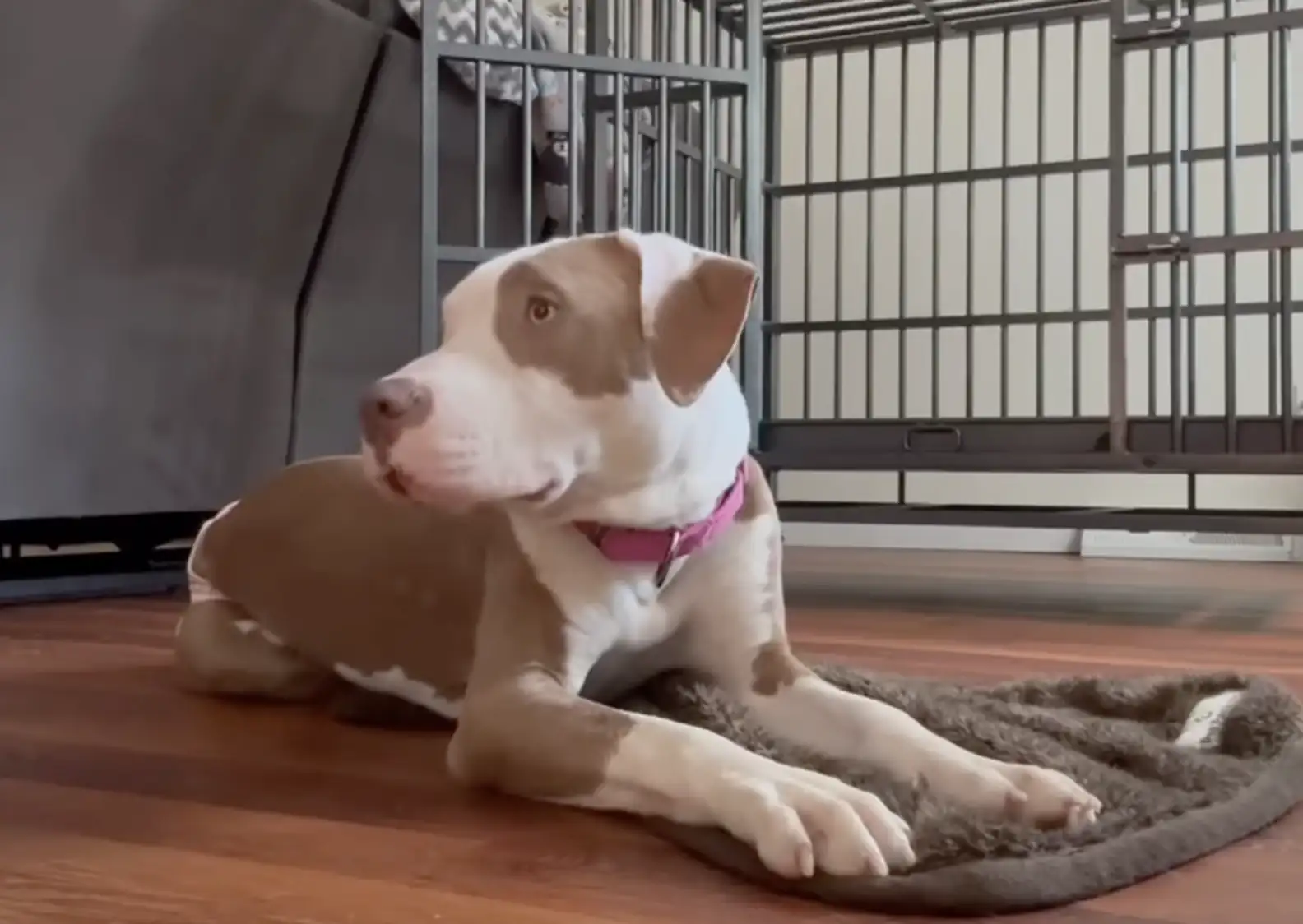 Extra image from article