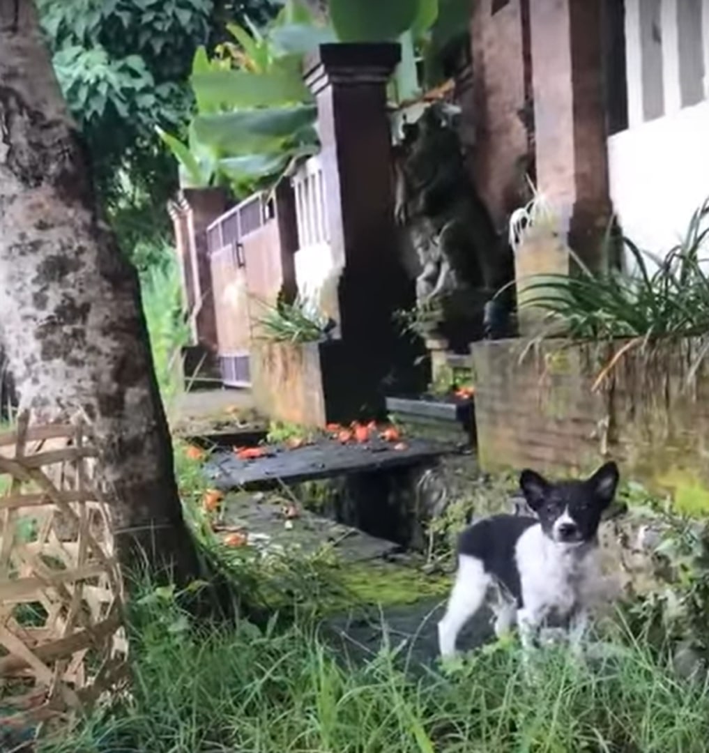 These bonded sisters are joyous in their...