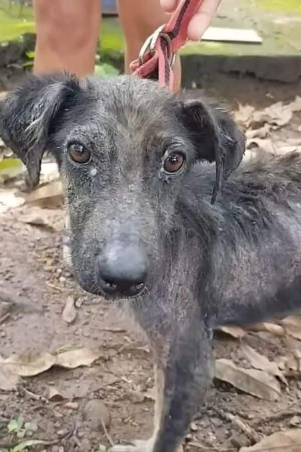 Extra image from article