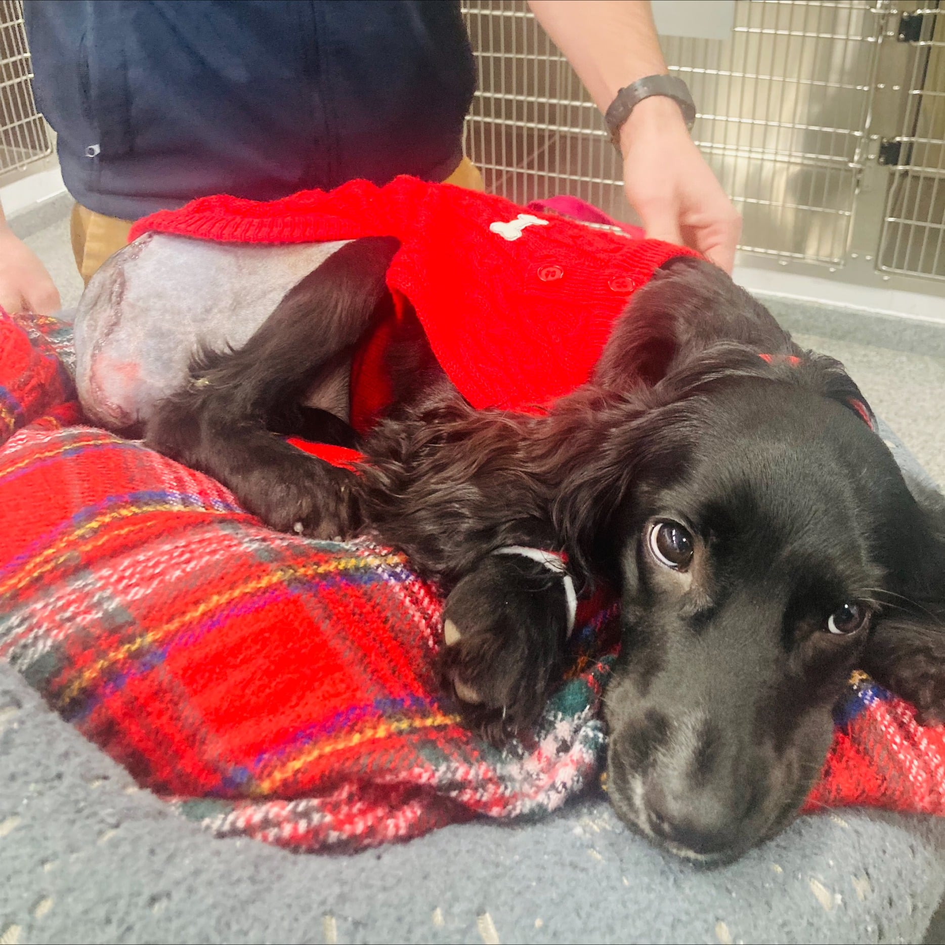 Extra image from article