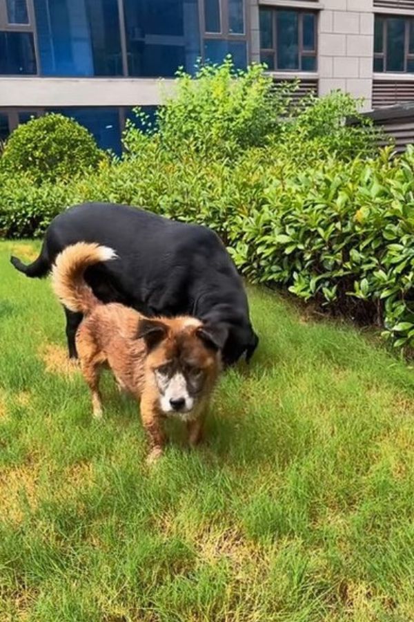 Extra image from article