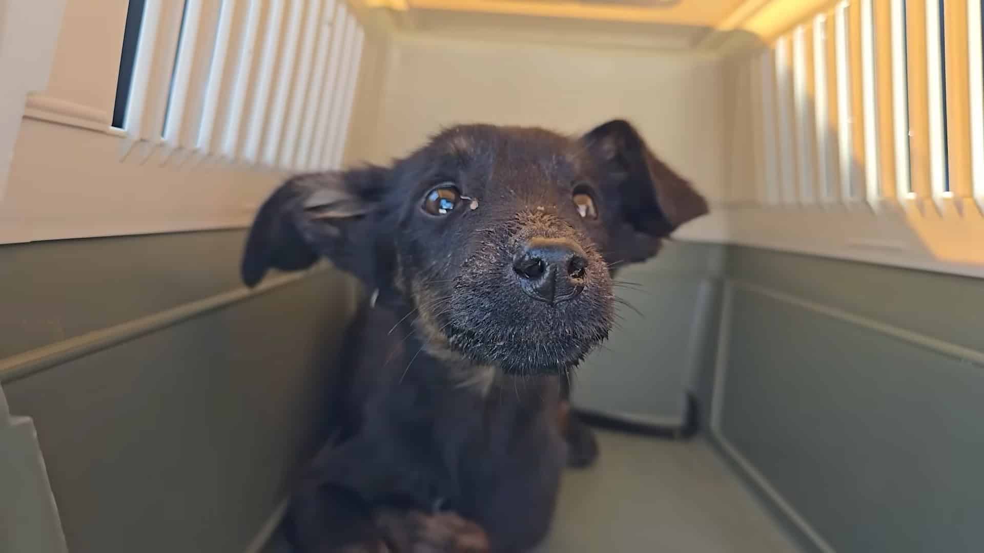 Extra image from article