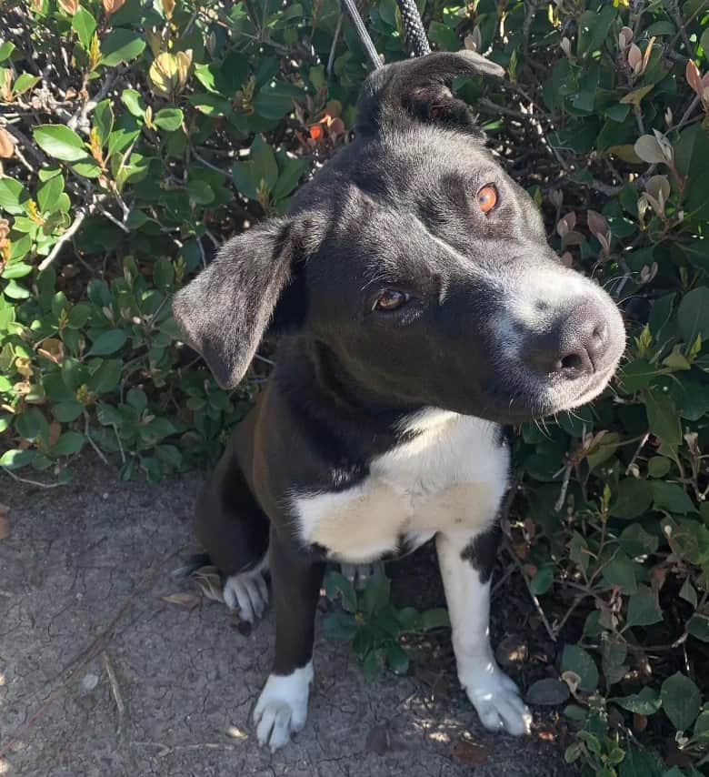 Extra image from article