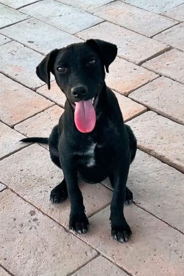 Extra image from article