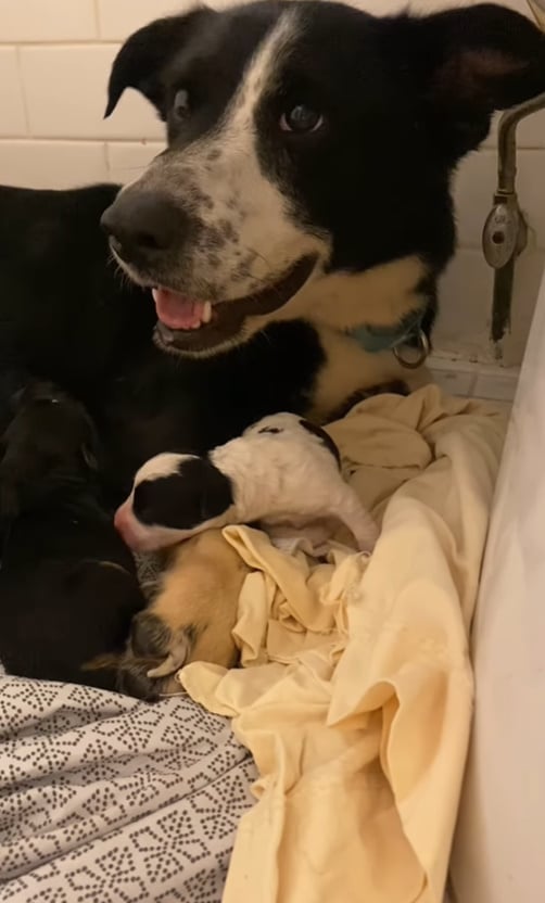 Extra image from article