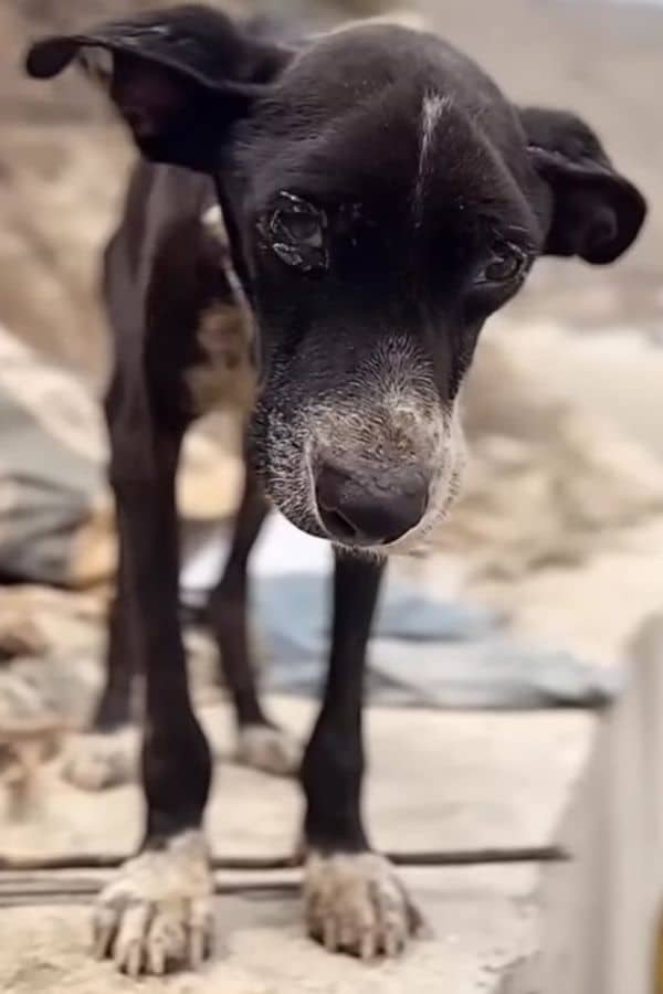 Once he was discharged from the hospital...