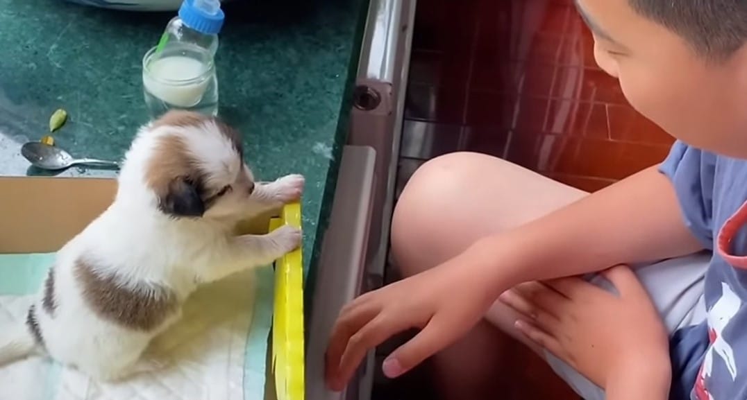 Extra image from article