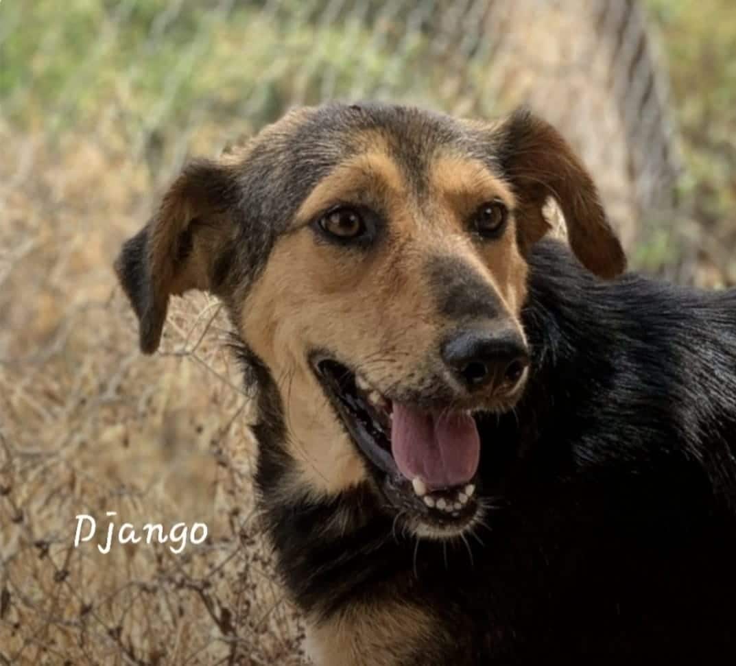 Extra image from article