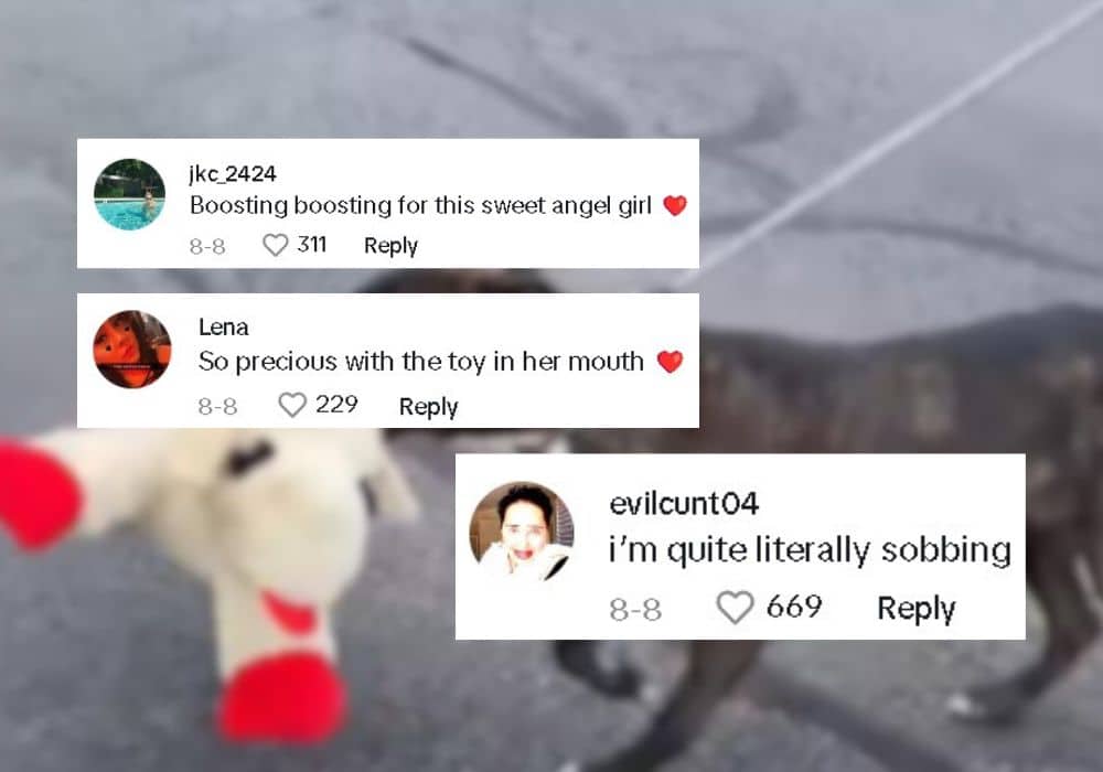 Extra image from article