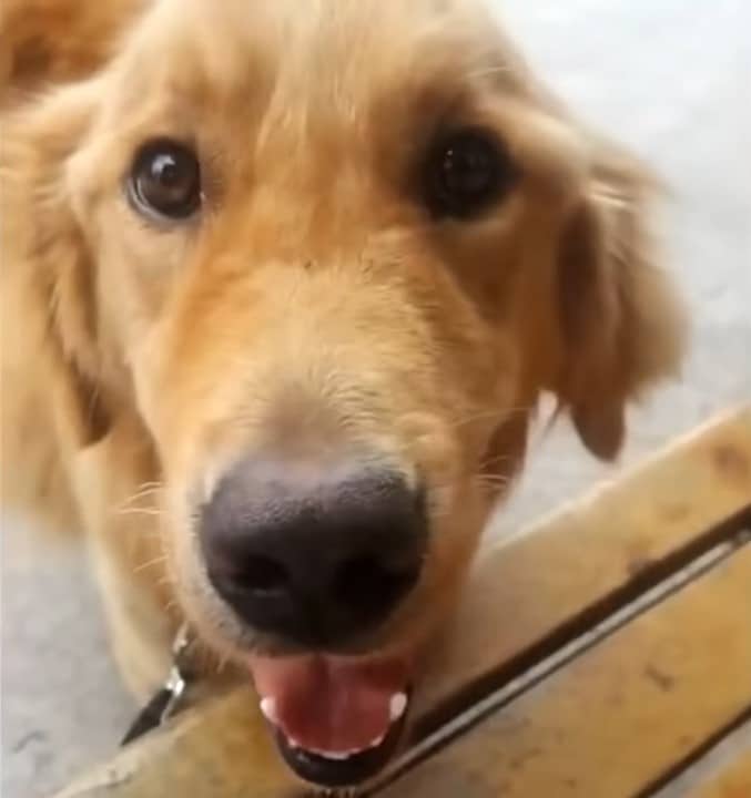 Extra image from article