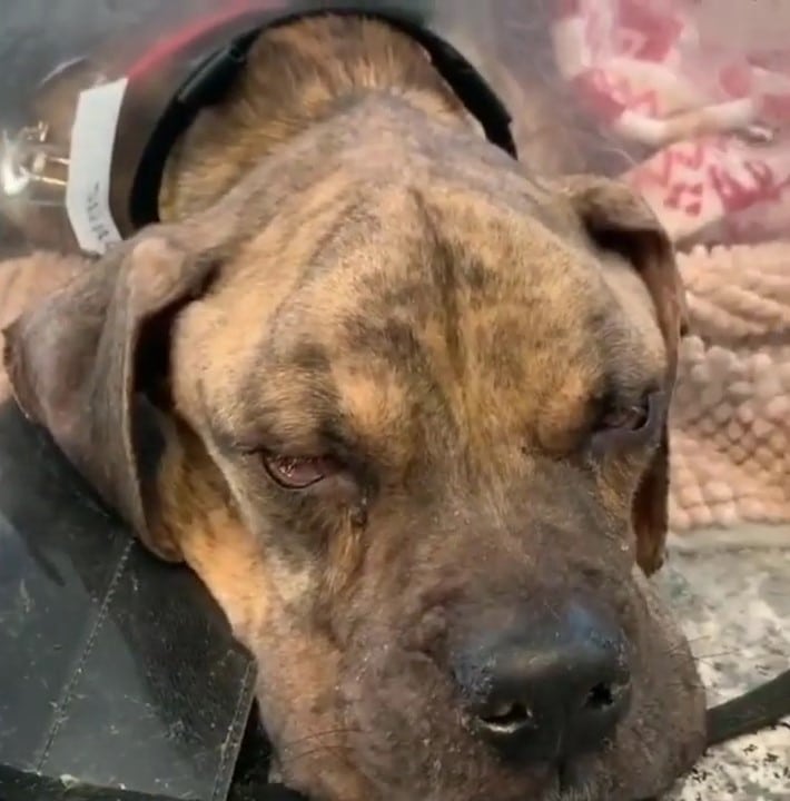 Extra image from article