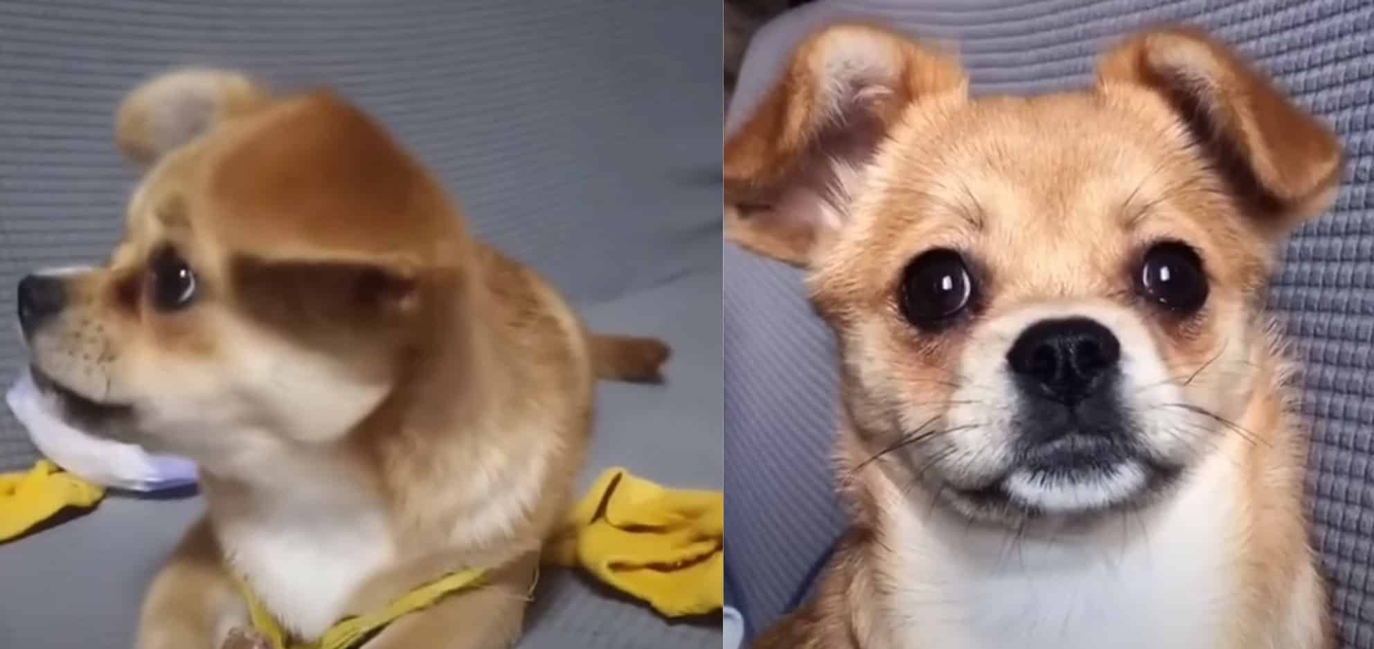 Extra image from article