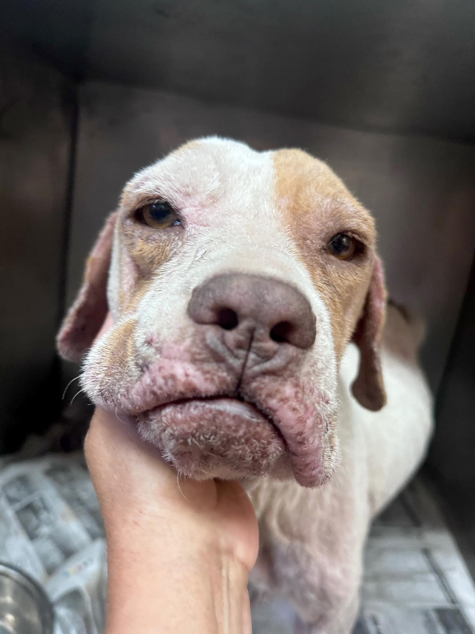 Extra image from article