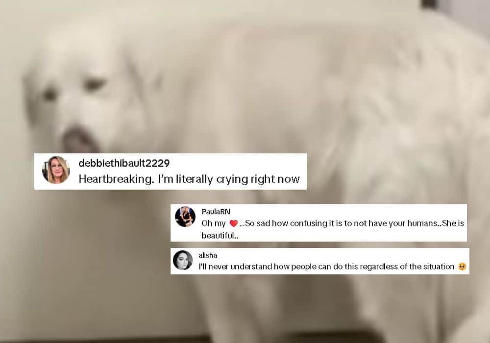 Extra image from article