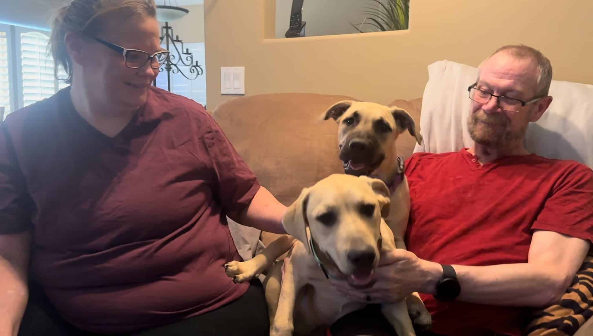 Extra image from article