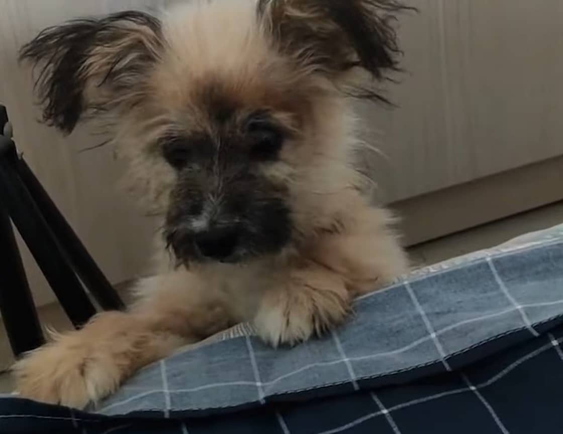 Extra image from article