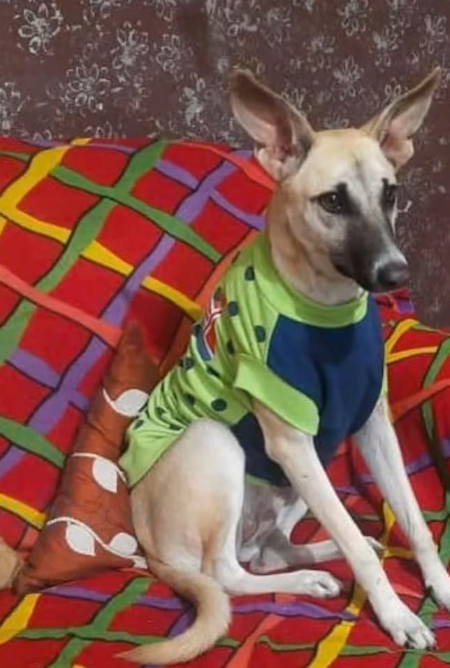 Extra image from article