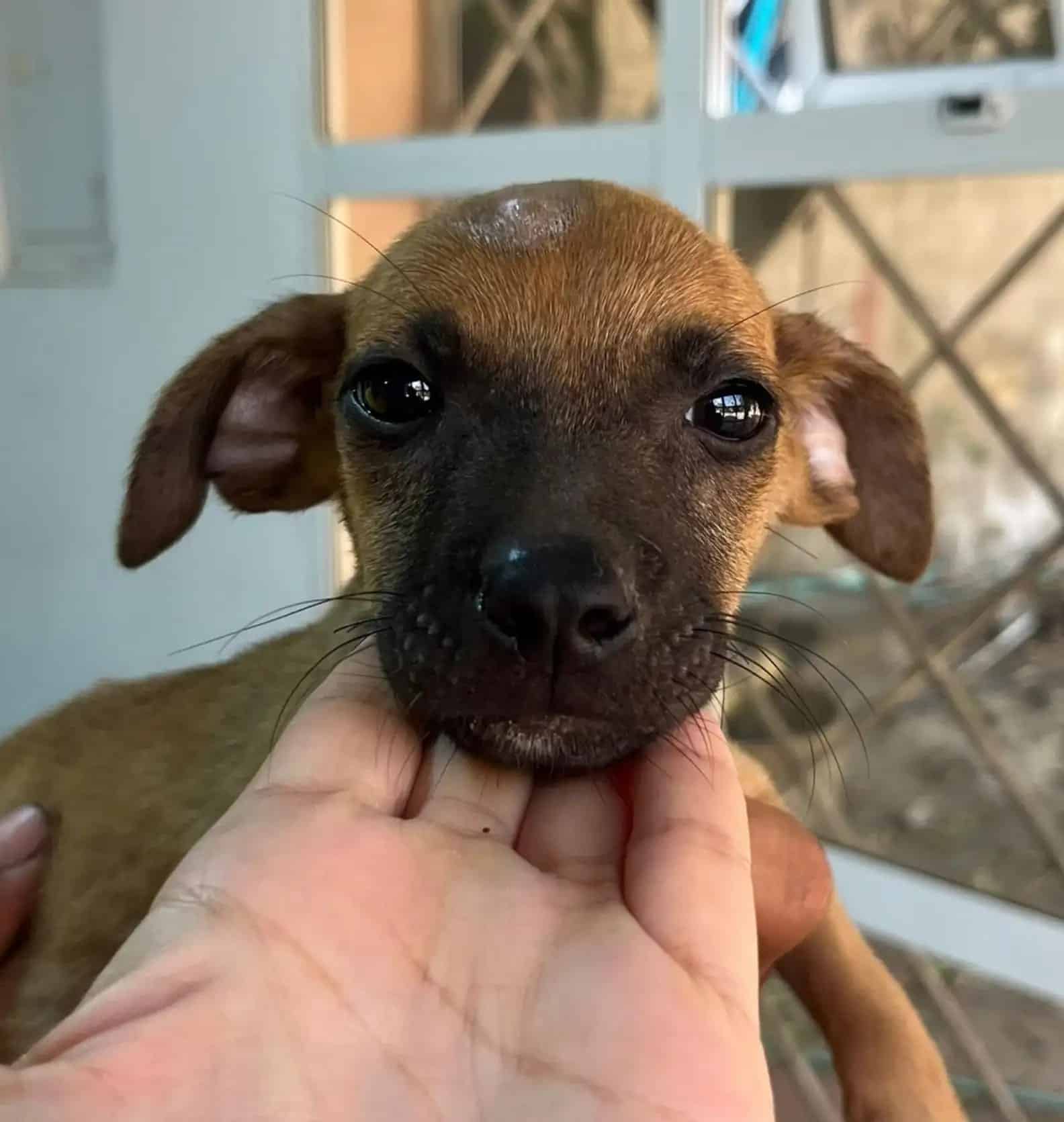 Had it not been for the thoughtful stran...