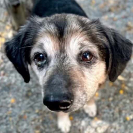 Extra image from article