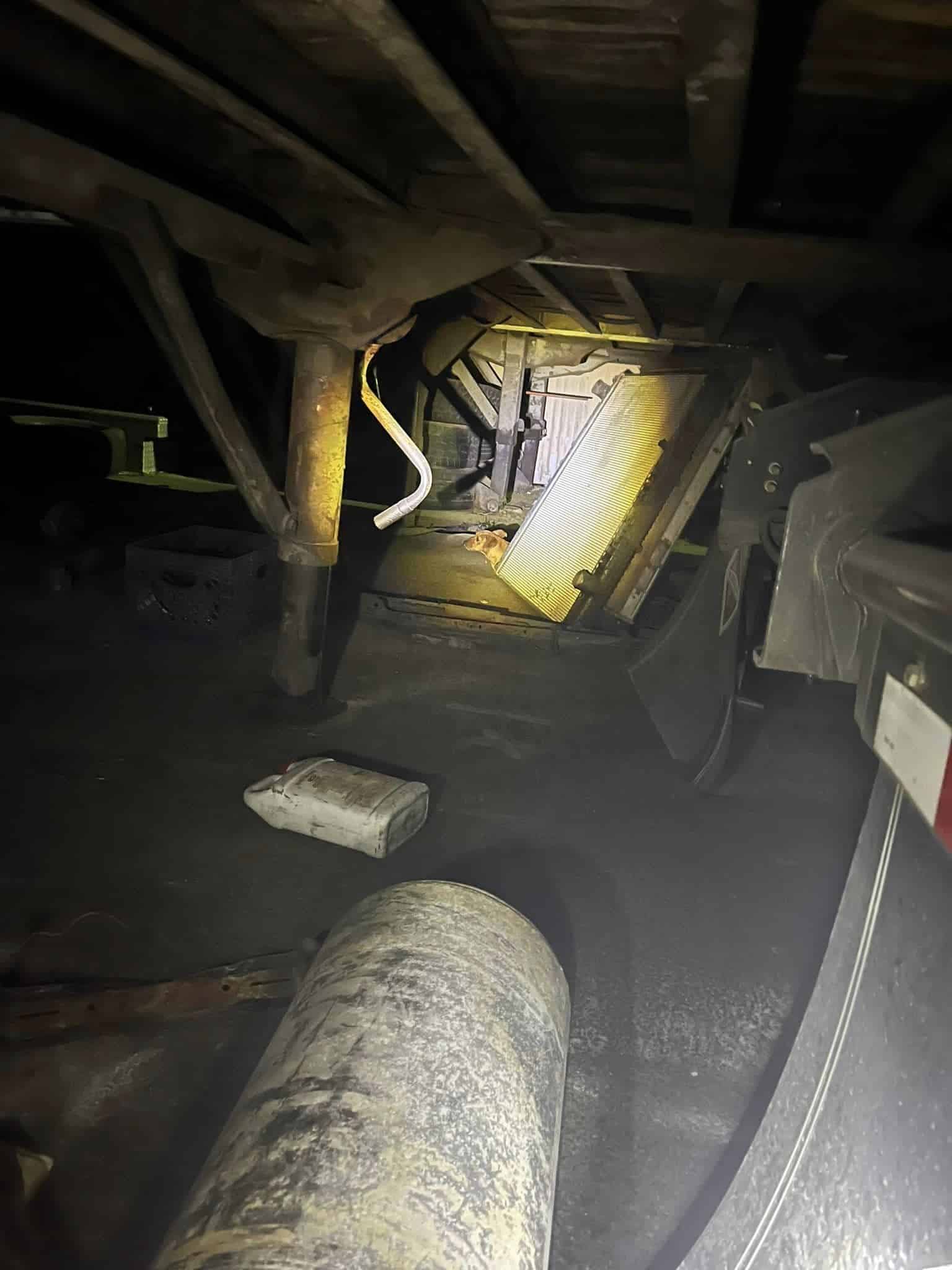 Extra image from article